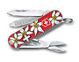 Classic SD Edelweiss blister