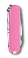 Classic SD pinkki blister