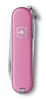 Classic SD pinkki kartonkipakkaus