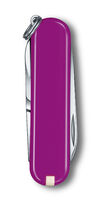 Classic SD violetti blister