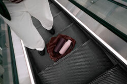 To Go termosmuki 0,35 l Fig purple