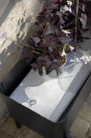 Simply Grow kasvilaatikko jalustall