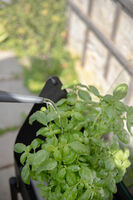 Simply Grow minikasvihuone jalustal