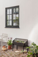 Simply Grow taimilaatikko kannella