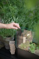 Simply Grow minikasvihuone
