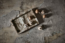 Vita tarjotin 30 x 20 cm Seagrain