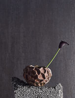 Soil Jar 11,5 cm Rust