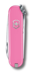 Classic SD pinkki blister