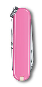 Classic SD pinkki blister