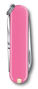 Classic SD pinkki kartonkipakkaus