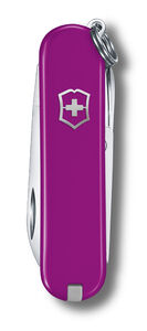 Classic SD violetti blister