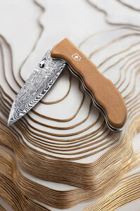 Evoke Wood Damast LE 2026