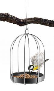 Lintulauta, Bird Cage