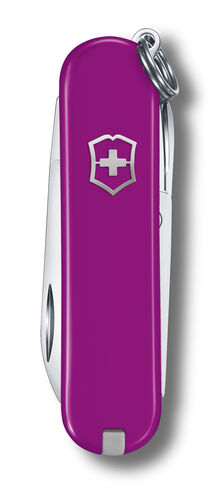 Classic SD violetti blister