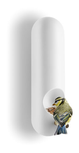 Lintulauta Tube