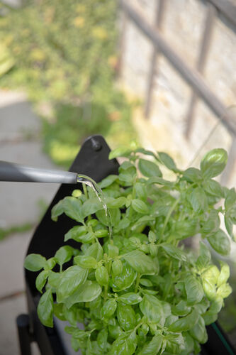 Simply Grow minikasvihuone jalustal