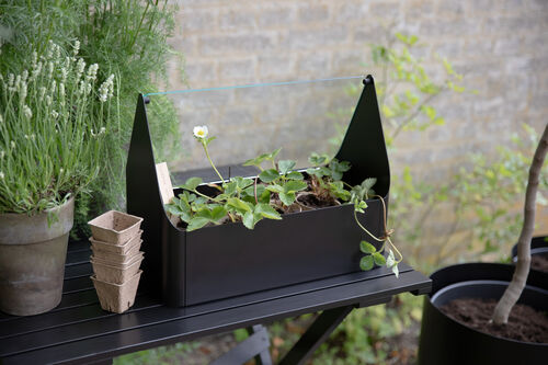 Simply Grow minikasvihuone
