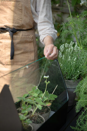 Simply Grow minikasvihuone