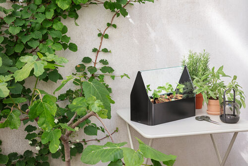Simply Grow minikasvihuone
