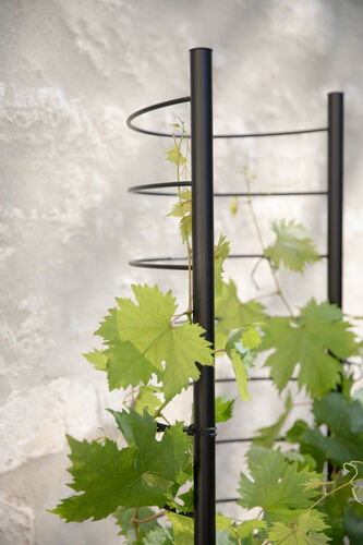Simply Grow tuki ulkoruukkuun Ø37cm