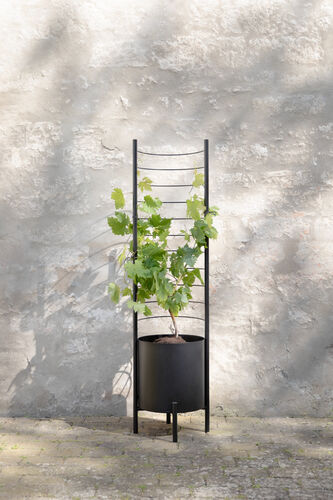 Simply Grow tuki ulkoruukkuun Ø37cm