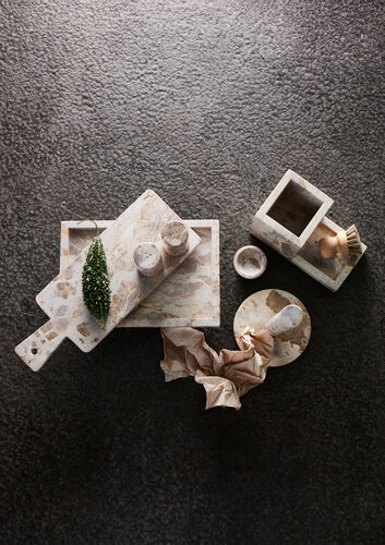 Vita sirotinsetti Seashell