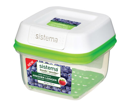 FreshWorks pieni rasia 590 ml