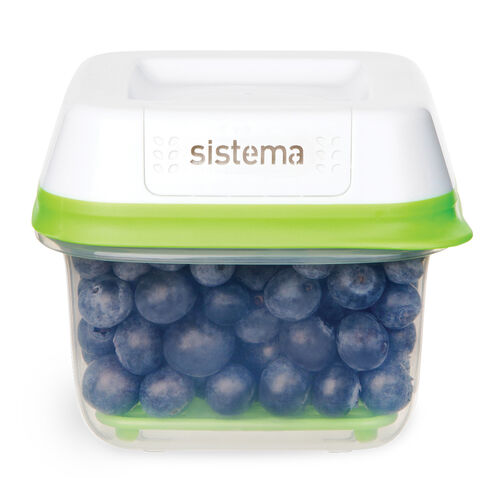 FreshWorks pieni rasia 590 ml