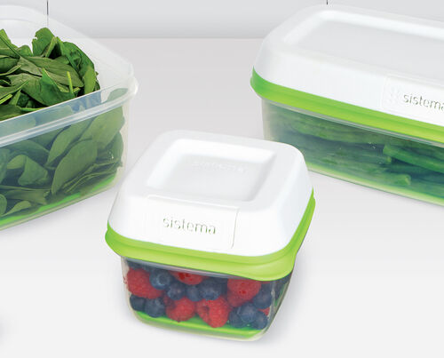 FreshWorks pieni rasia 590 ml
