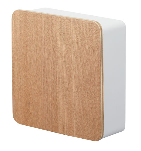 Rin avainkaappi magneettikiinn.